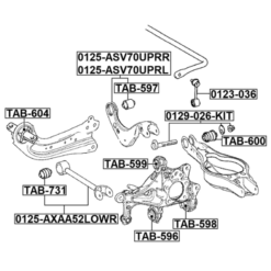 Alternative view of REAR LOWER TRANSVERSE LINK