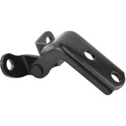 REAR LEFT DOOR LOWER HINGE