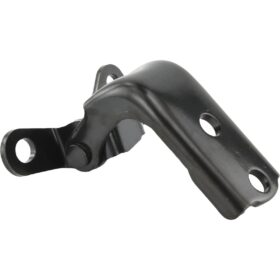 REAR LEFT DOOR LOWER HINGE
