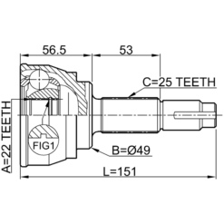 Alternative view of OUTER CV JOINT 22X49X25