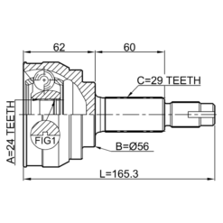 Alternative view of OUTER CV JOINT 24X56X29