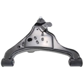 RIGHT LOWER FRONT ARM