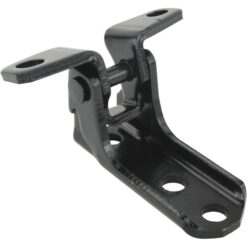 FRONT LEFT DOOR LOWER HINGE