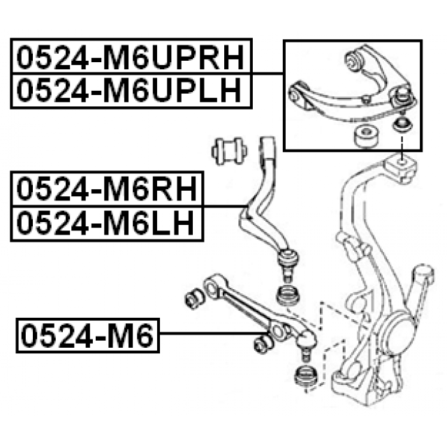 RIGHT LOWER FRONT ARM - Image 2