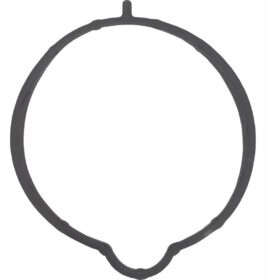 GASKET, THROTTLE BODY