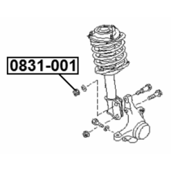 Alternative view of NUT