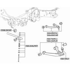 Alternative view of RIGHT LOWER FRONT ARM