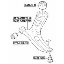 Alternative view of RIGHT LOWER FRONT ARM