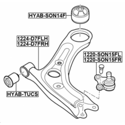 Alternative view of RIGHT LOWER FRONT ARM