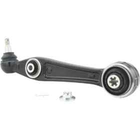 RIGHT LOWER FRONT ARM