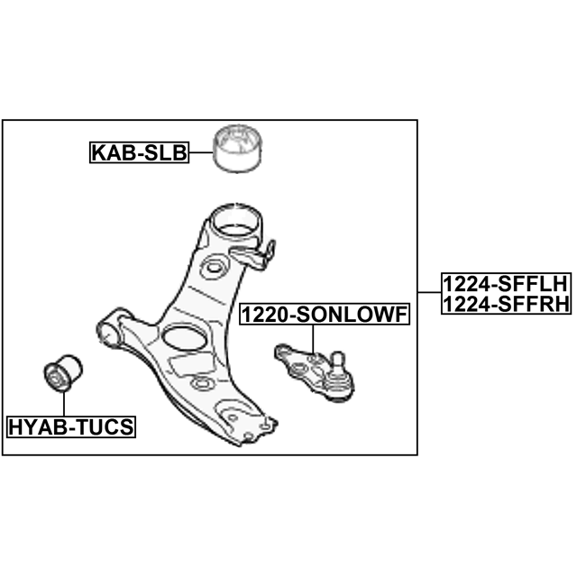 RIGHT LOWER FRONT ARM - Image 2