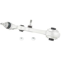 RIGHT LOWER FRONT ARM