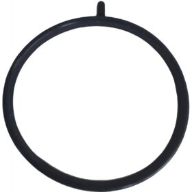 THROTTLE BODY O-RING