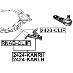 Alternative view of LEFT LOWER FRONT ARM