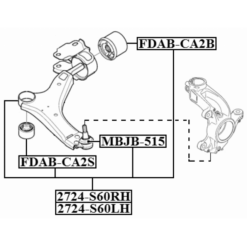 Alternative view of RIGHT LOWER FRONT ARM