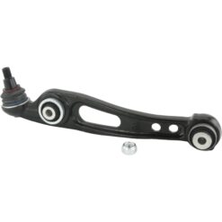 RIGHT LOWER FRONT ARM