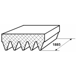 Alternative view of POLY-V BELT 5 RIBS (EPDM+FIBER)