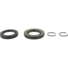 DIFFERENTIAL-PINION SEAL (SET OF TWO)