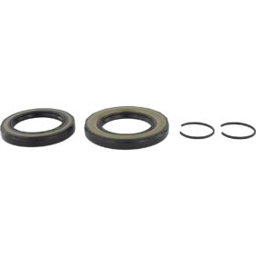 REAR DIFFERENTIAL-PINION SEAL (SET OF TWO)