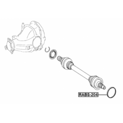 Alternative view of RING ABS