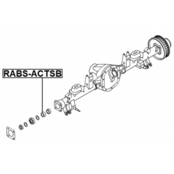 Alternative view of RING ABS