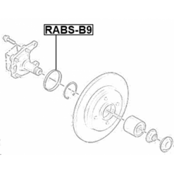 Alternative view of RING ABS