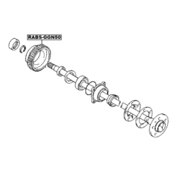 Alternative view of RING ABS