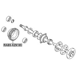Alternative view of RING ABS