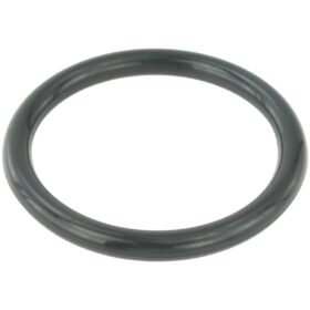 THROTTLE BODY O-RING