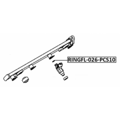 Alternative view of O-RING FUEL INJECTOR PCS 10