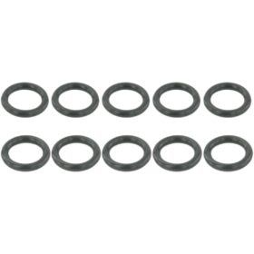 FUEL REGULATOR O-RING PCS 10
