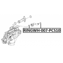 Alternative view of COOLING SYSTEM O-RING PCS 10