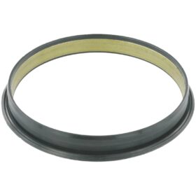 VACUUM PUMP O RING