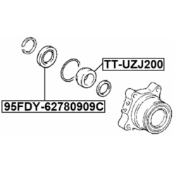 Alternative view of RING